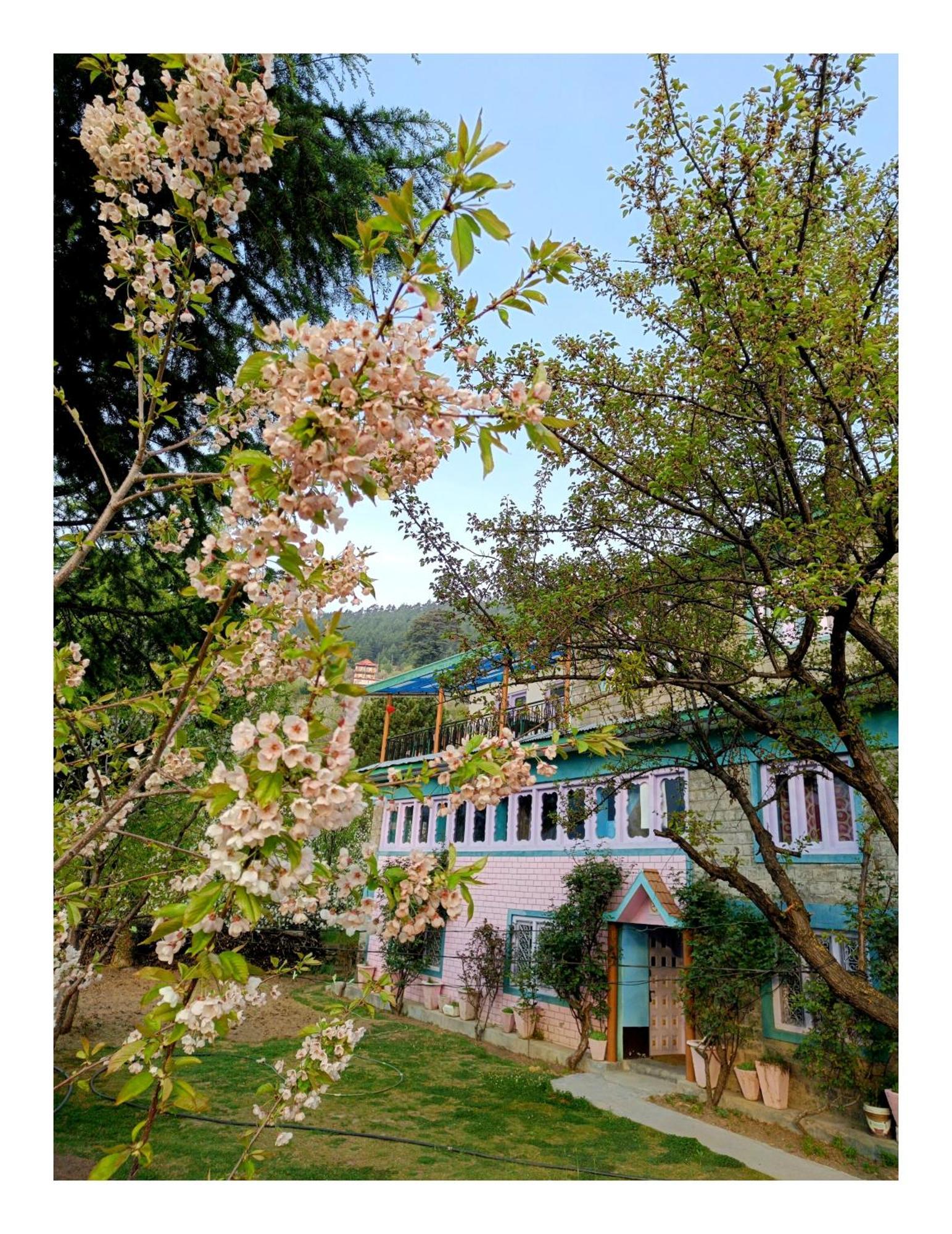 Farmvilla Homestay Kalpa Exterior foto